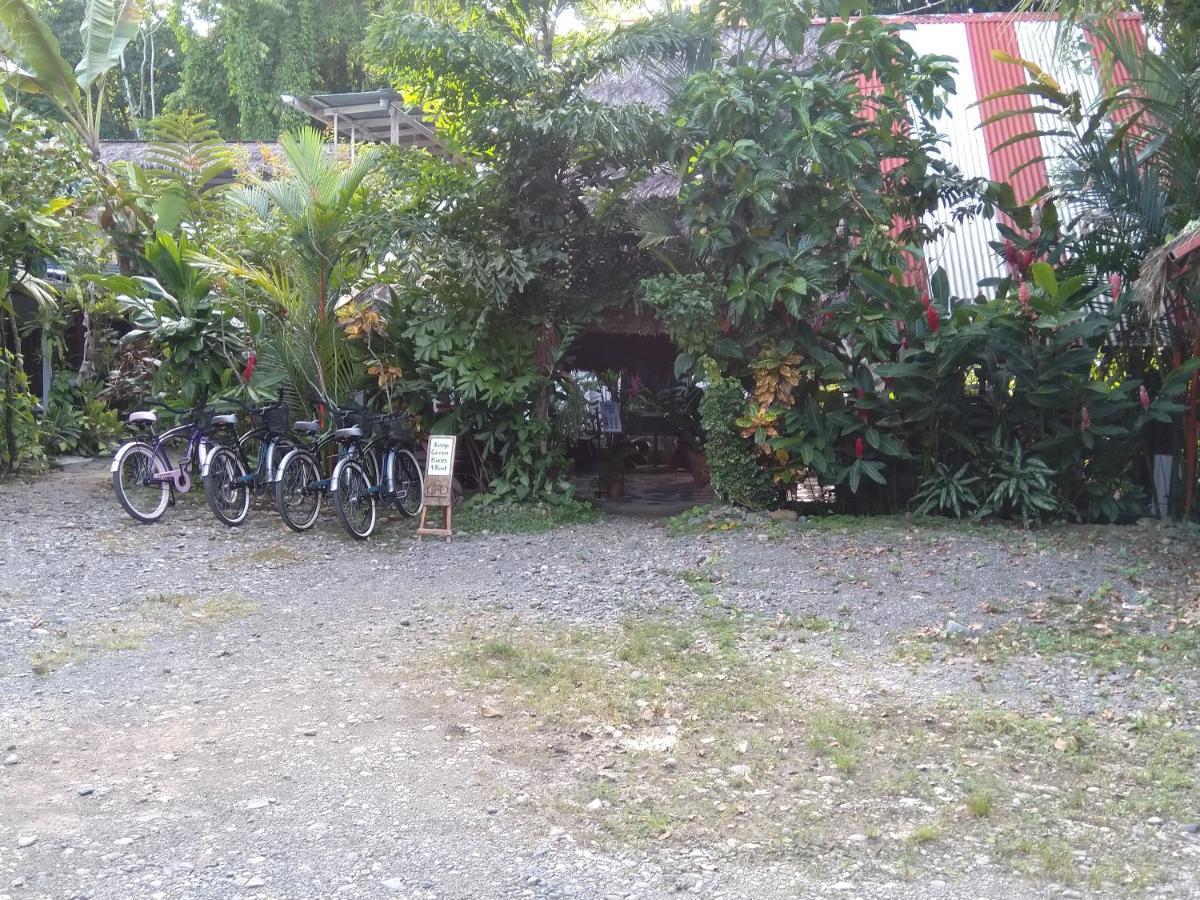 Cabinas Talamanca Sa Hotell Puerto Viejo de Talamanca Exteriör bild