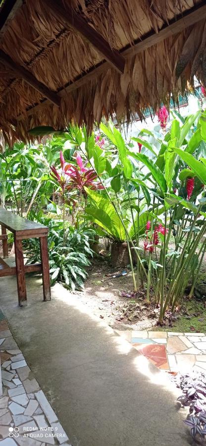 Cabinas Talamanca Sa Hotell Puerto Viejo de Talamanca Exteriör bild